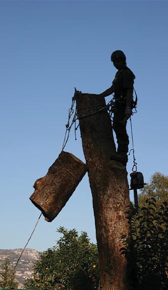 Abattage arbre Bourg-en-Bresse
