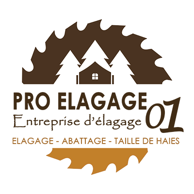 PRO Elagage 01